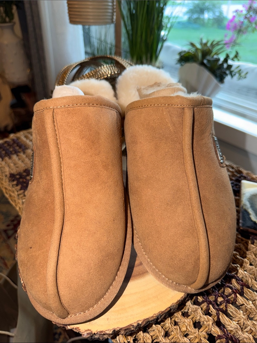 Australia Luxe Collective Men’s Closed Mule Sheepskin Shearling Slippers Tan Siz
